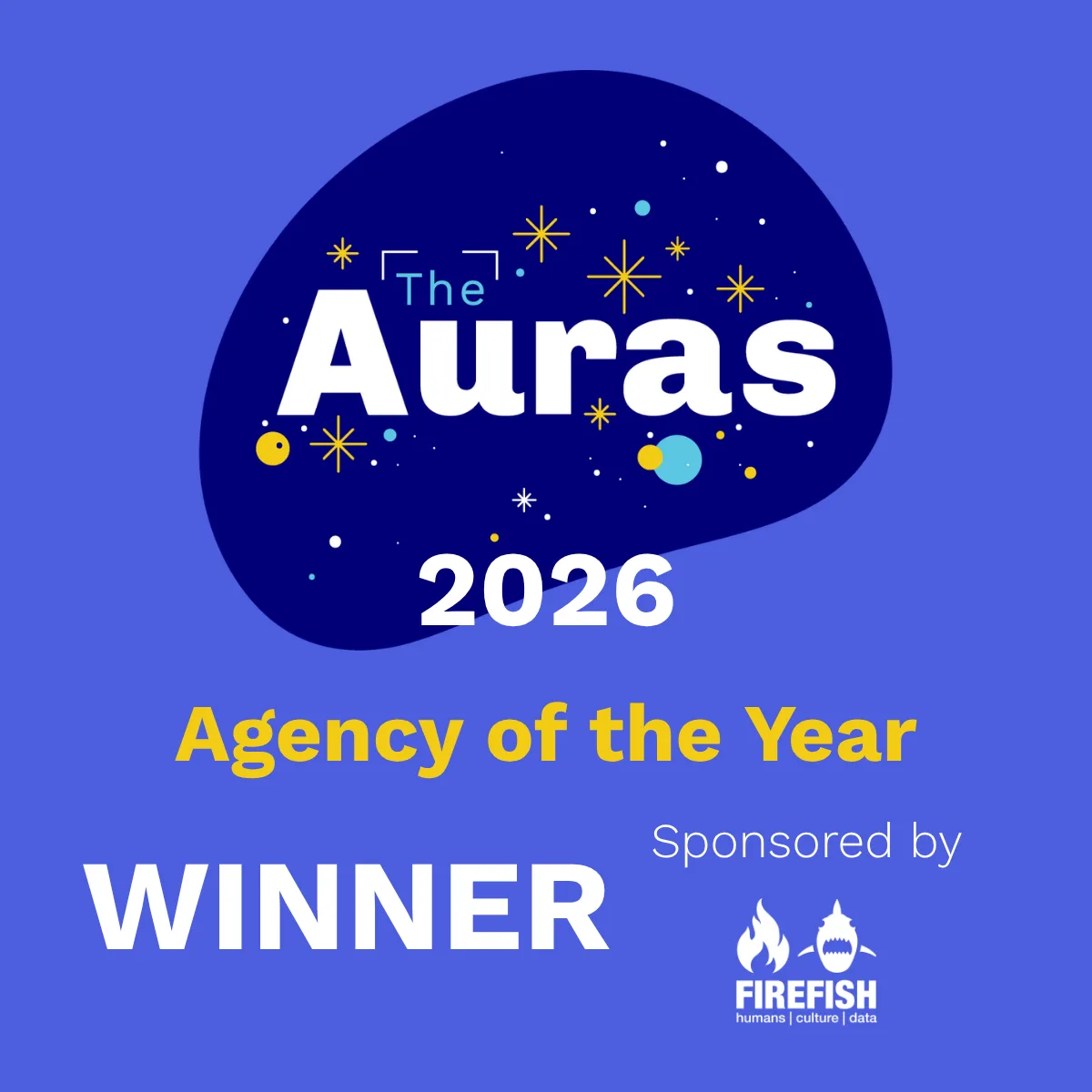 13 Agency of the Year Winner