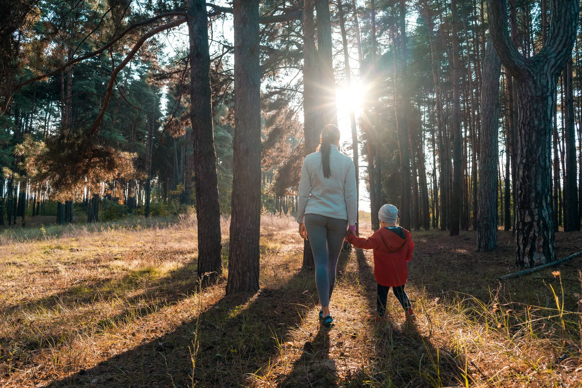 Finding the right words for The Woodland Trust